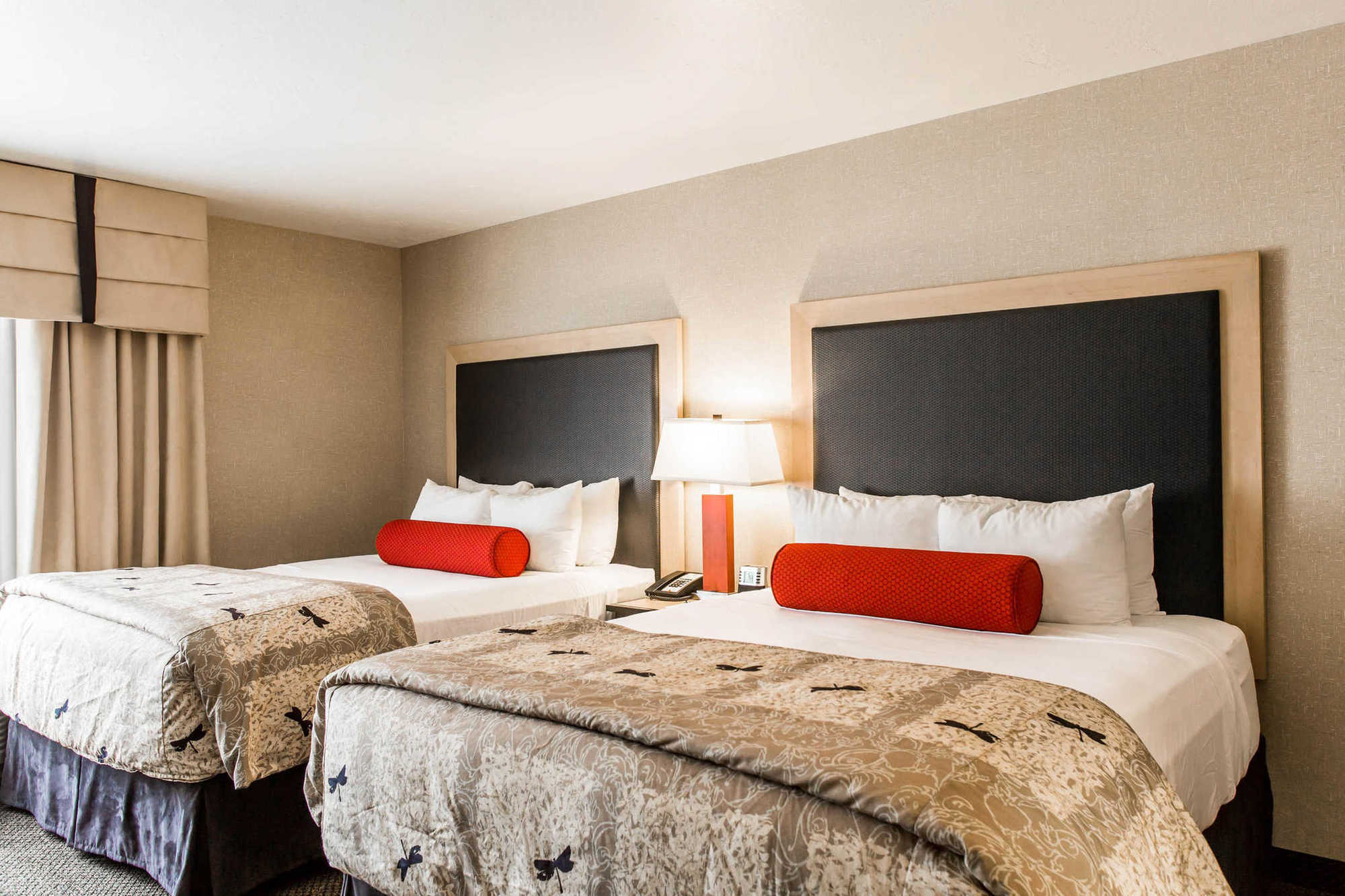 Springhill Suites By Marriott Roanoke Pokój zdjęcie