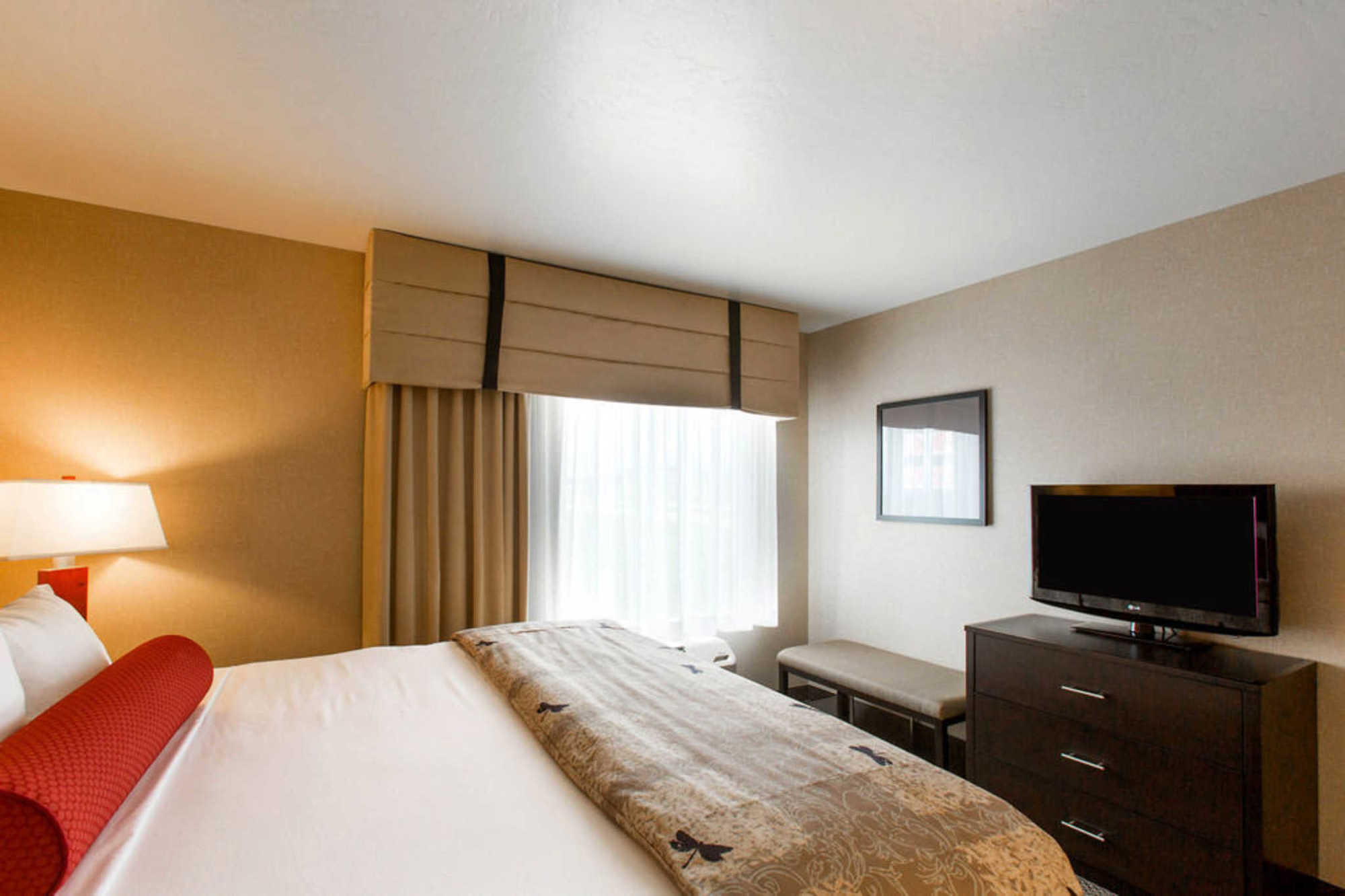 Springhill Suites By Marriott Roanoke Pokój zdjęcie