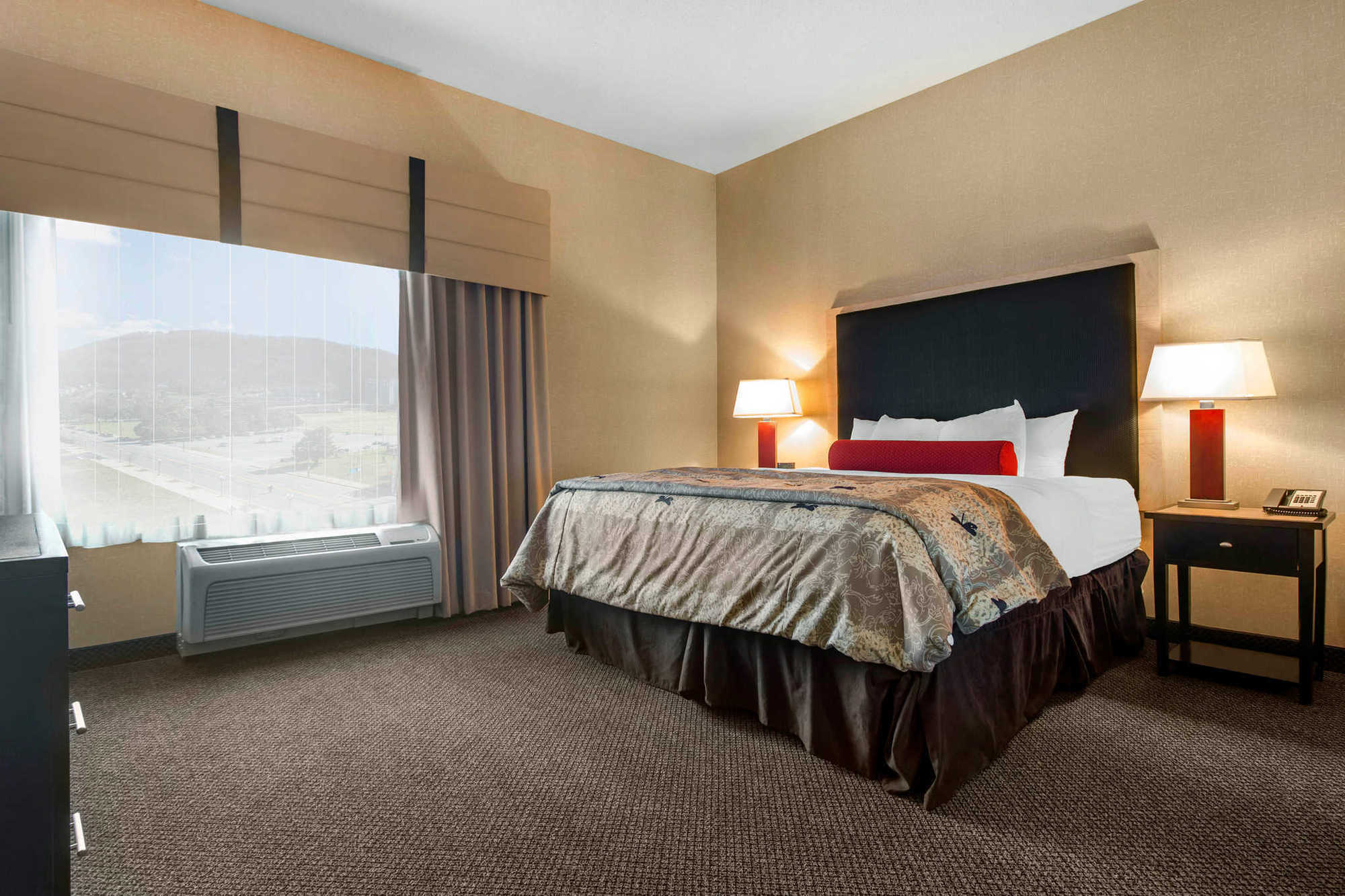 Springhill Suites By Marriott Roanoke Pokój zdjęcie