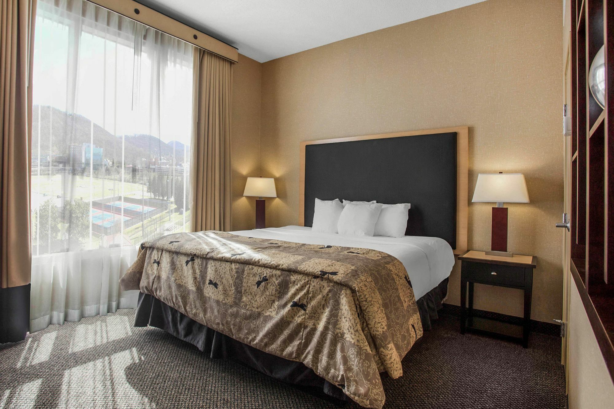 Springhill Suites By Marriott Roanoke Zewnętrze zdjęcie